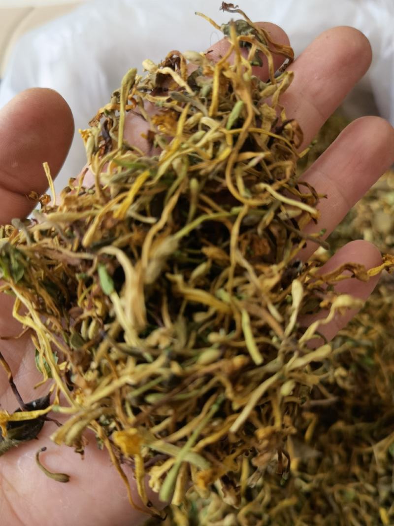 野生金银花