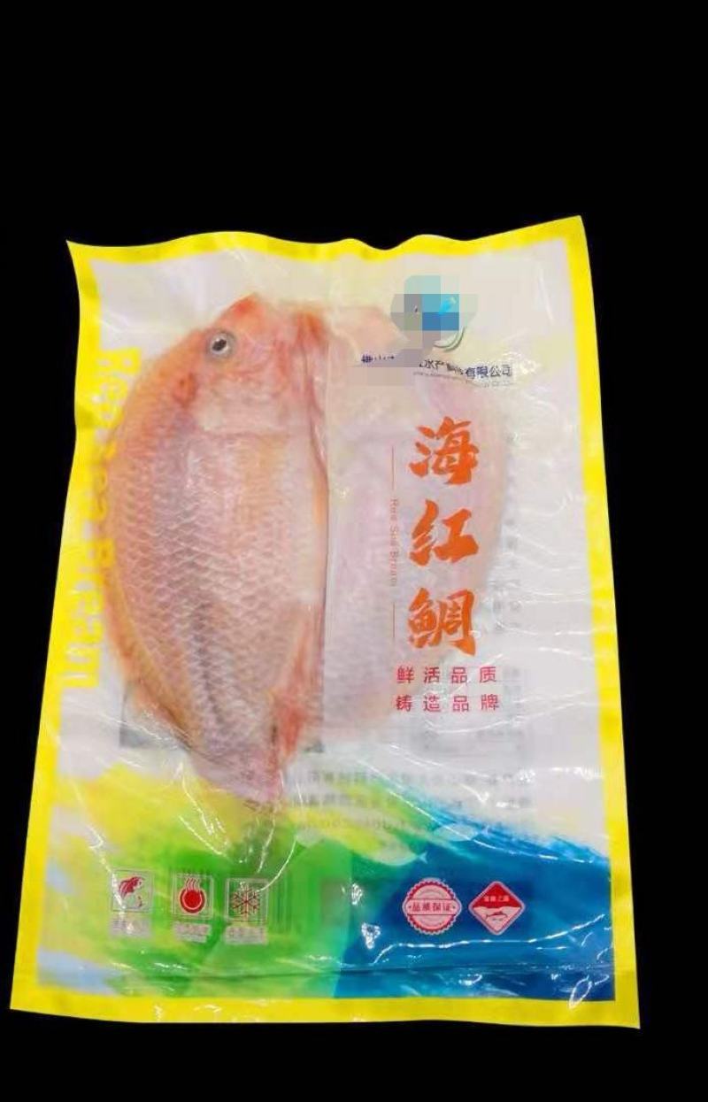 海红鲷