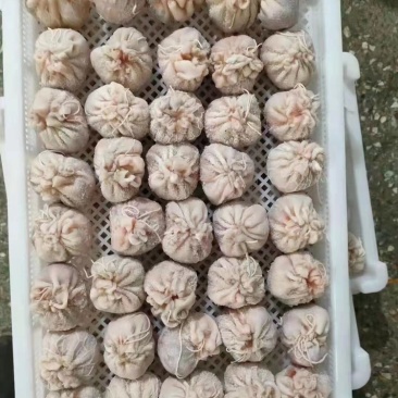 肚包肉