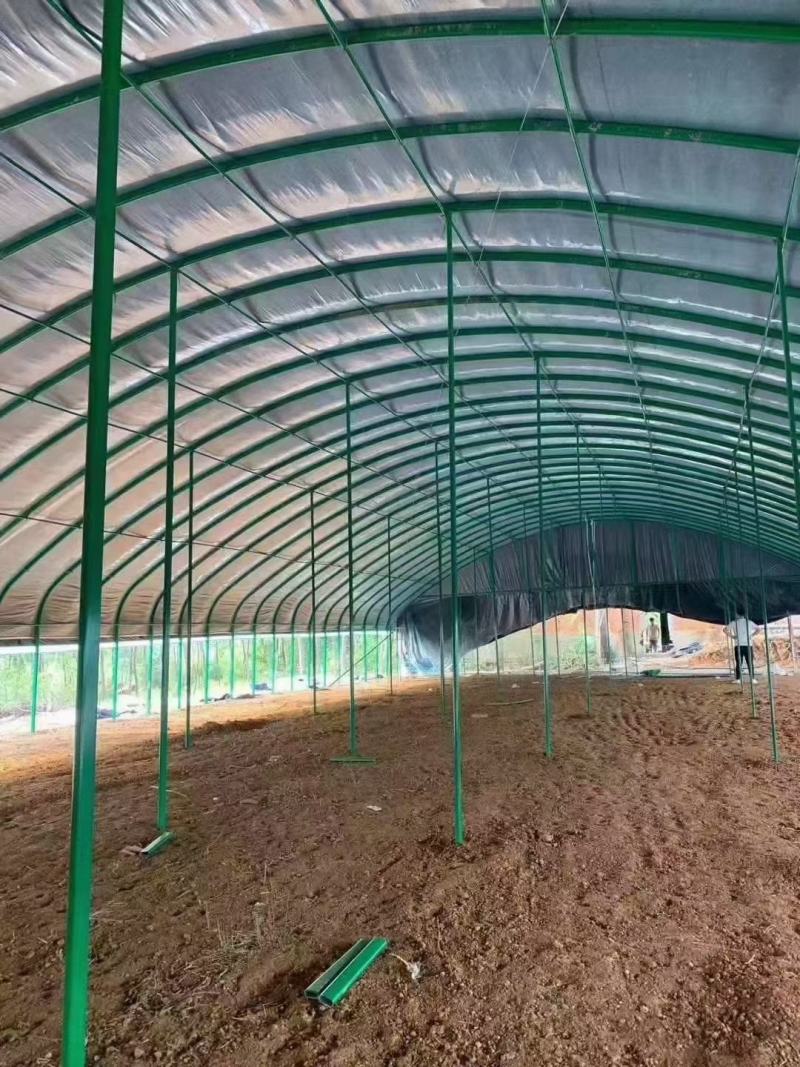 专业生产蔬菜种植温室大棚，管型齐全全国发货包建