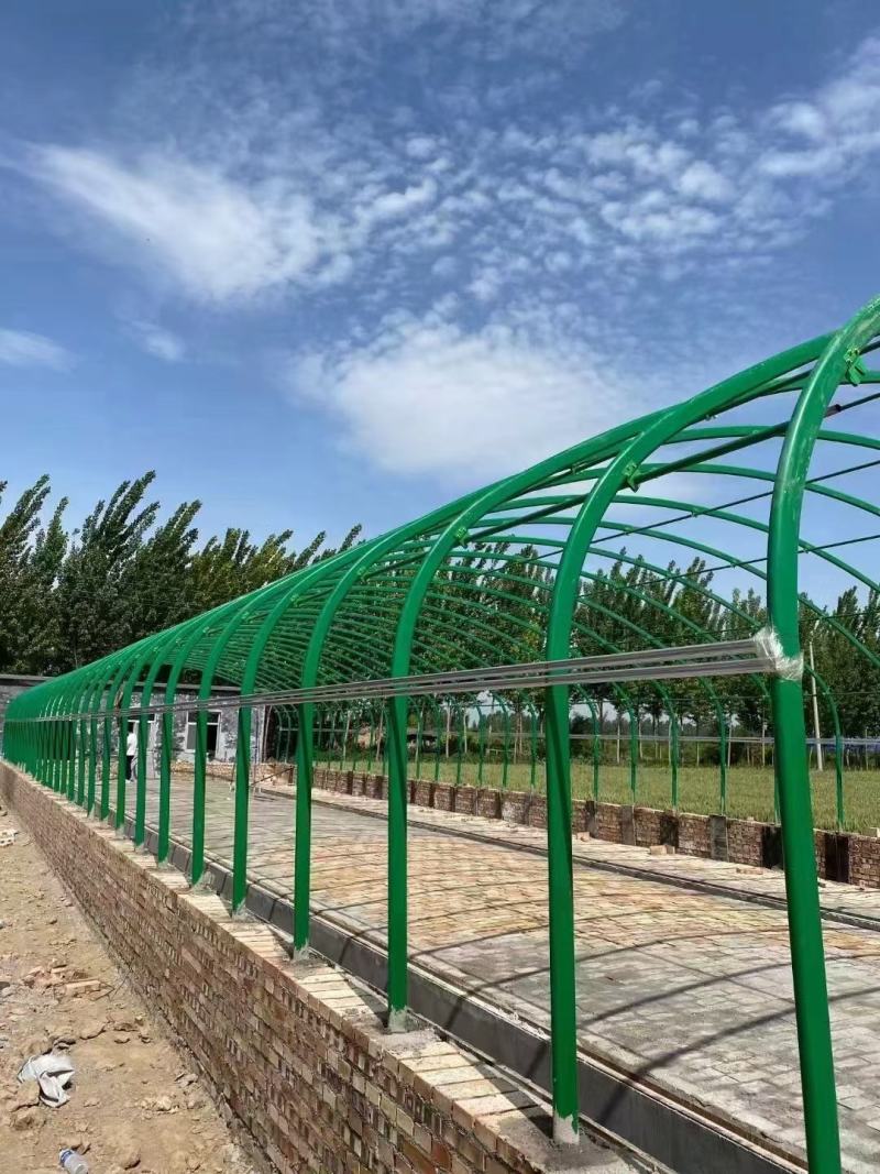专业生产蔬菜种植温室大棚，管型齐全全国发货包建