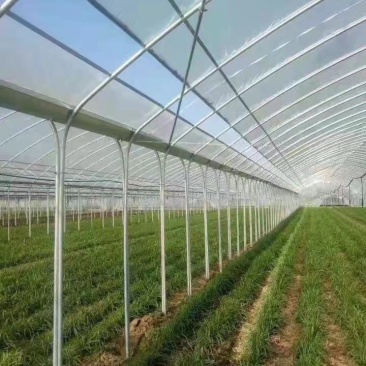 专业生产蔬菜种植温室大棚，管型齐全全国发货包建