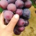 乒乓球葡萄大量上市一手货源，商超直供可视频看货