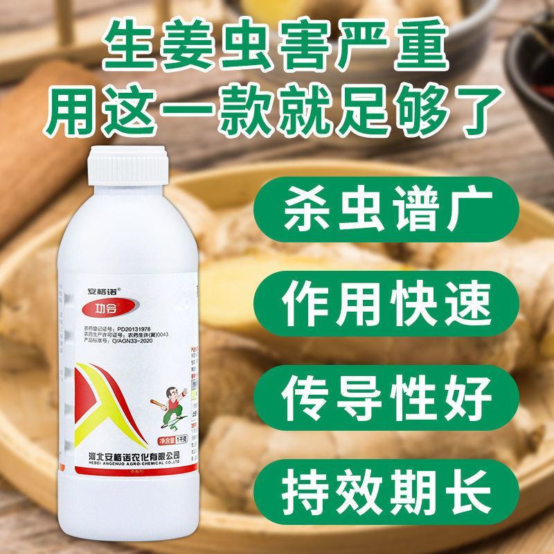 生姜快速杀虫剂生姜专用杀虫剂姜蛆蛴螬姜螟钻心虫姜蝶玉米螟