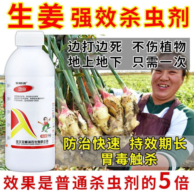 生姜快速杀虫剂生姜专用杀虫剂姜蛆蛴螬姜螟钻心虫姜蝶玉米螟