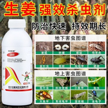 生姜快速杀虫剂生姜专用杀虫剂姜蛆蛴螬姜螟钻心虫姜蝶玉米螟