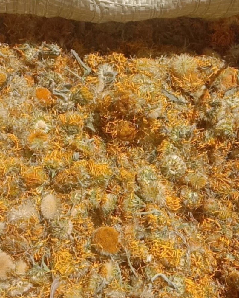 旋覆花，旋腹花，鲜货，干货！