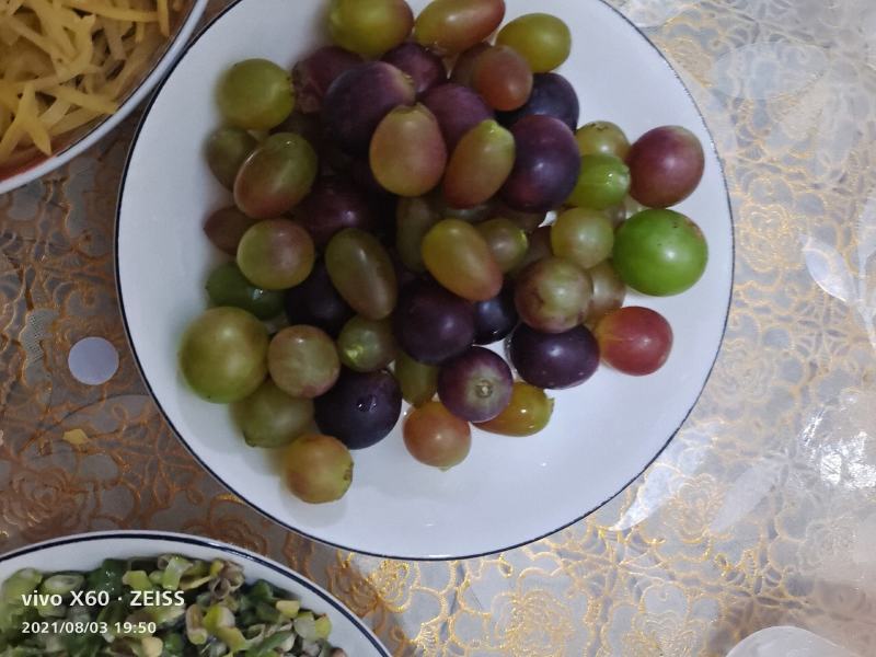葡萄熟惊讶葡萄大量现货甜度高价格便宜规格齐全