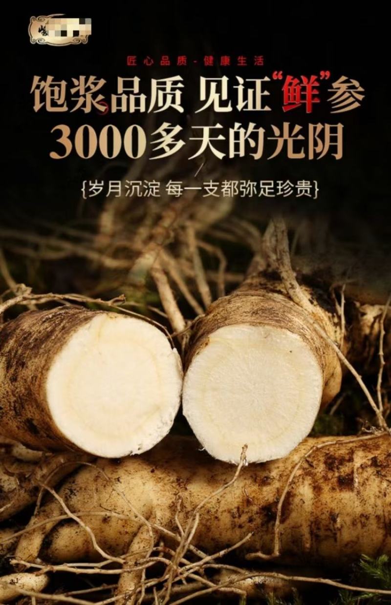 鲜人参