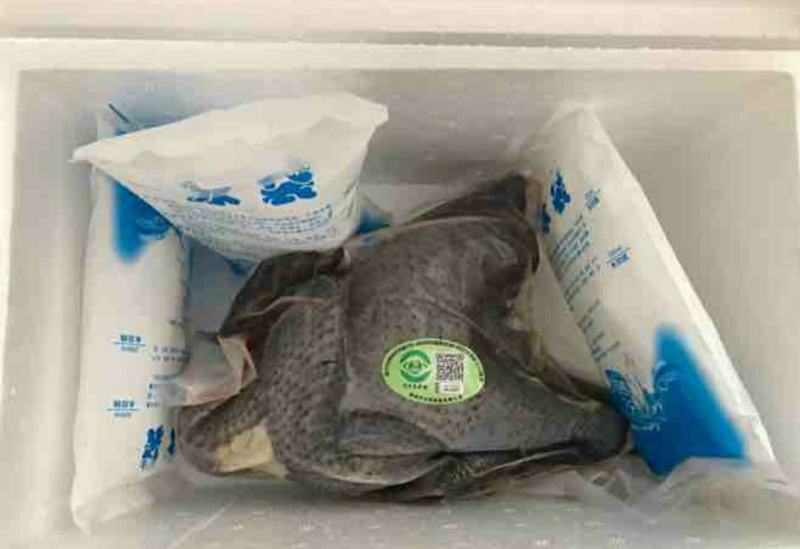 多彩贵州国家地标土鸡产品赤水特产乌骨鸡生态无公害散养鸡