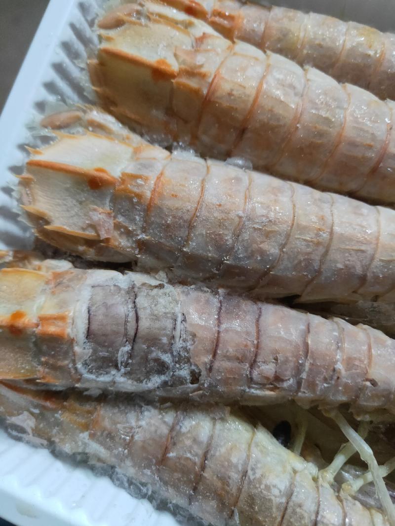 全规格皮皮虾（虾菇）活冻大皮皮虾，熟冻大皮皮虾，有量有价