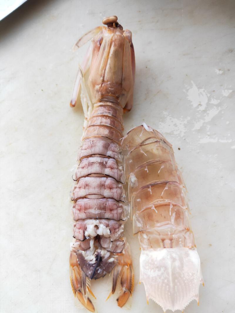 全规格皮皮虾（虾菇）活冻大皮皮虾，熟冻大皮皮虾，有量有价