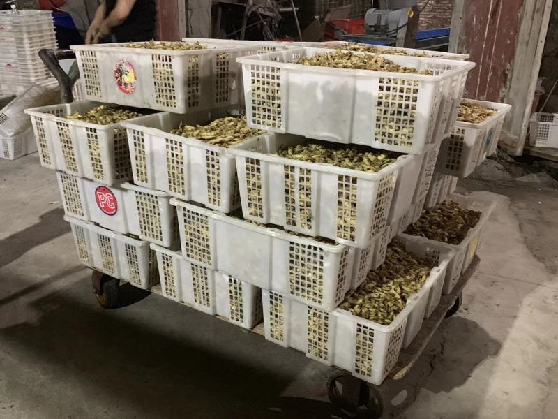 蛏干干货海鲜500g福建霞浦本地特产特级蛏子肉无沙熟