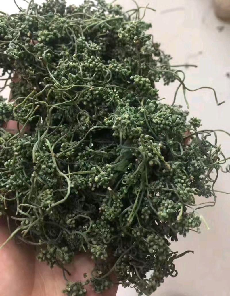 长白山人参花自产自销产地直供常年供货诚招代理商