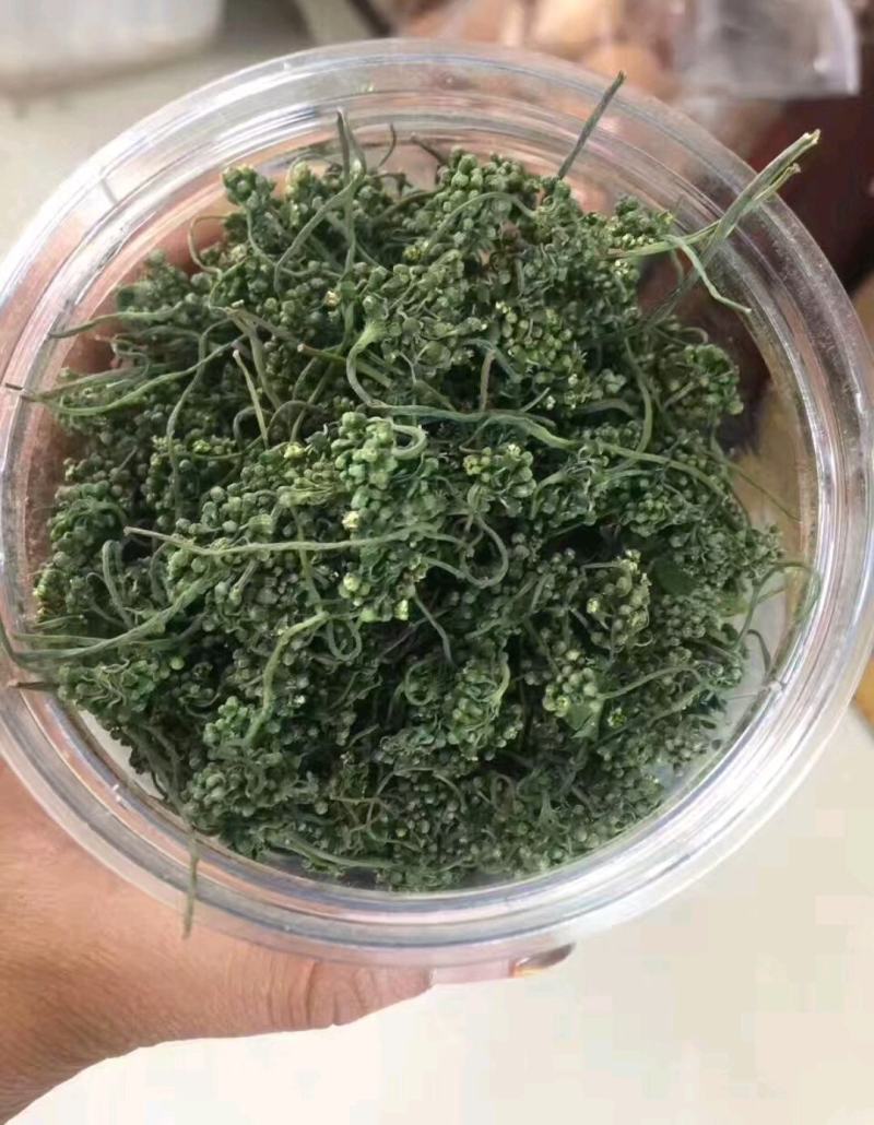 长白山人参花自产自销产地直供常年供货诚招代理商
