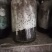 平菇菌种广温平菇原种平菇二级菌种平菇原种