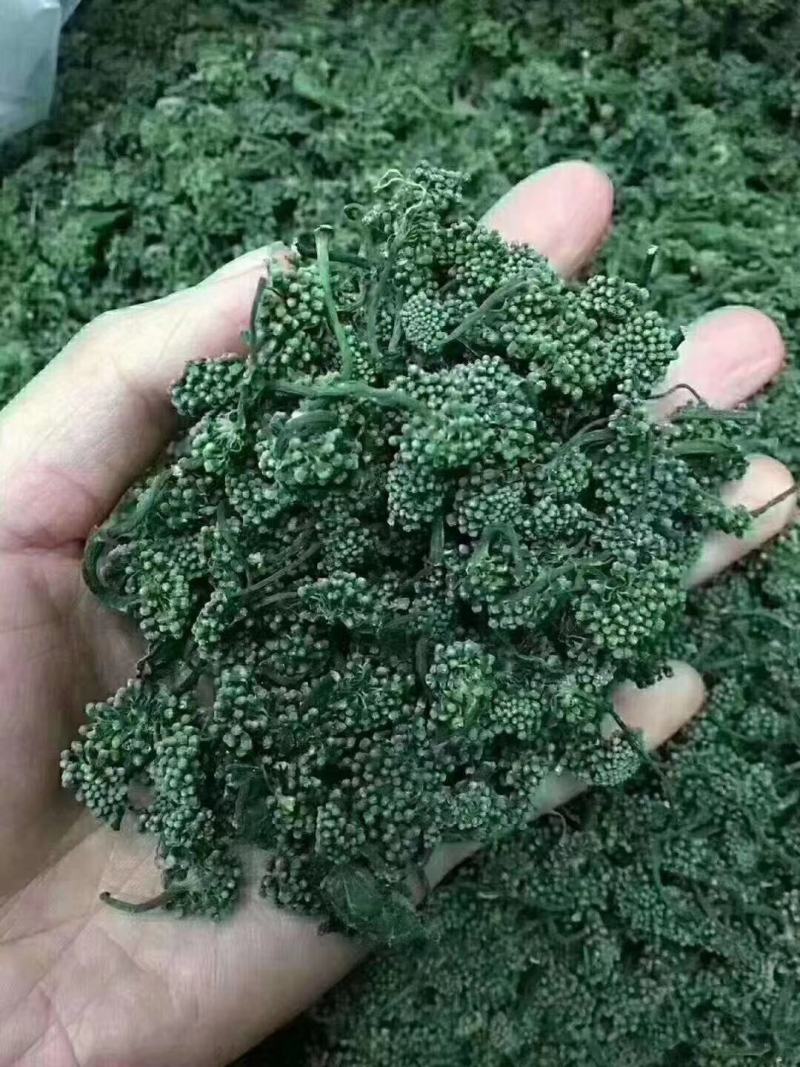 长白山人参花茶自产自销原产地发货常年供应诚招代理