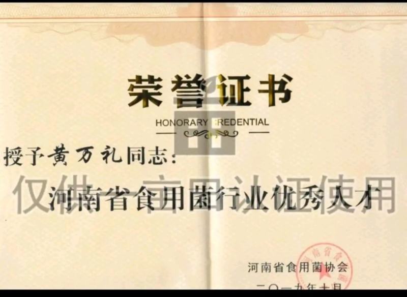 平菇菌种广温平菇原种平菇二级菌种平菇原种