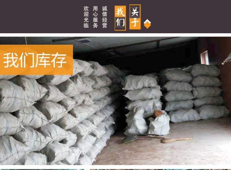 桦树茸俄罗斯白桦茸大个白桦茸桦树茸桦树泪桦褐孔菌