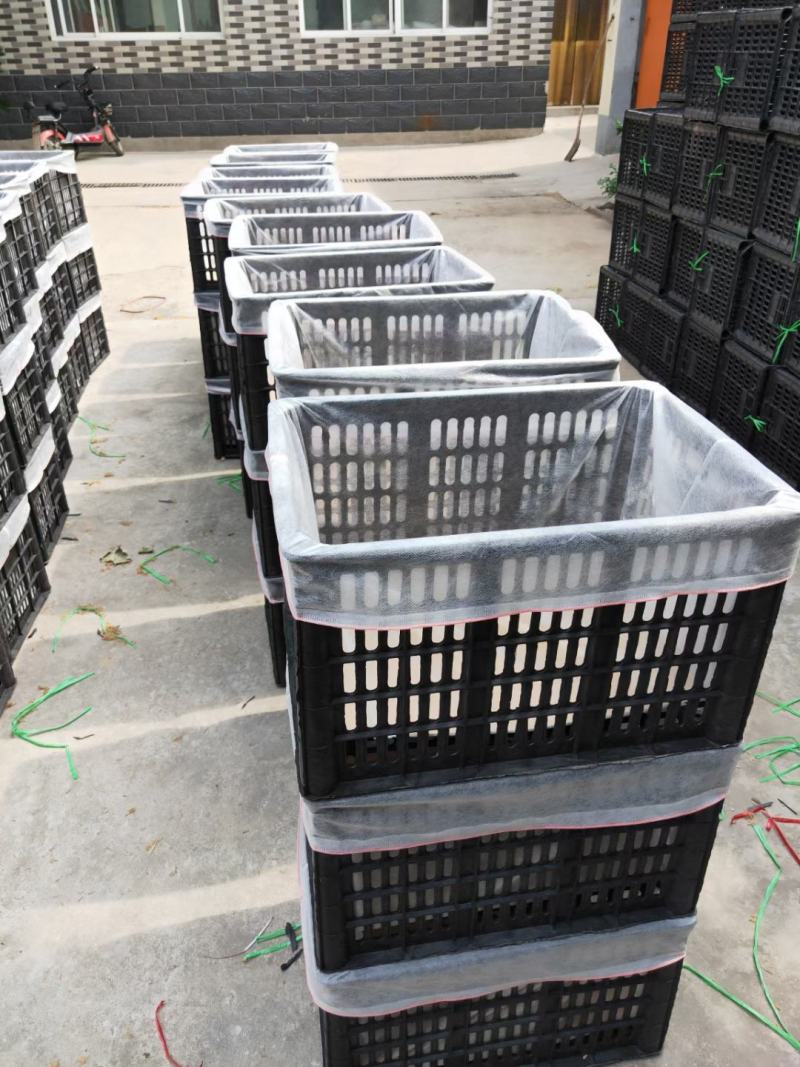 水果框无纺布袋包装袋无纺布抽绳袋葡萄哈密瓜袋布拖厂家直供