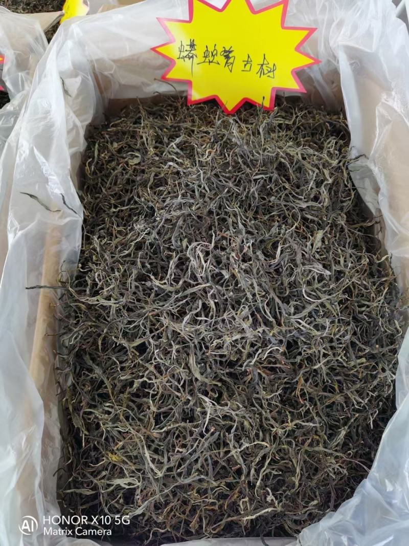 【古树普洱茶】入口香甜回昧无穷原产地发货欢迎咨询