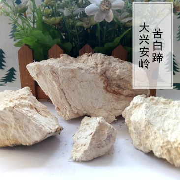 灵芝苦白蹄阿里红白灵芝大兴安岭可打成粉末