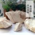 灵芝苦白蹄阿里红白灵芝大兴安岭可打成粉末