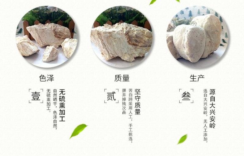 灵芝苦白蹄阿里红白灵芝大兴安岭可打成粉末