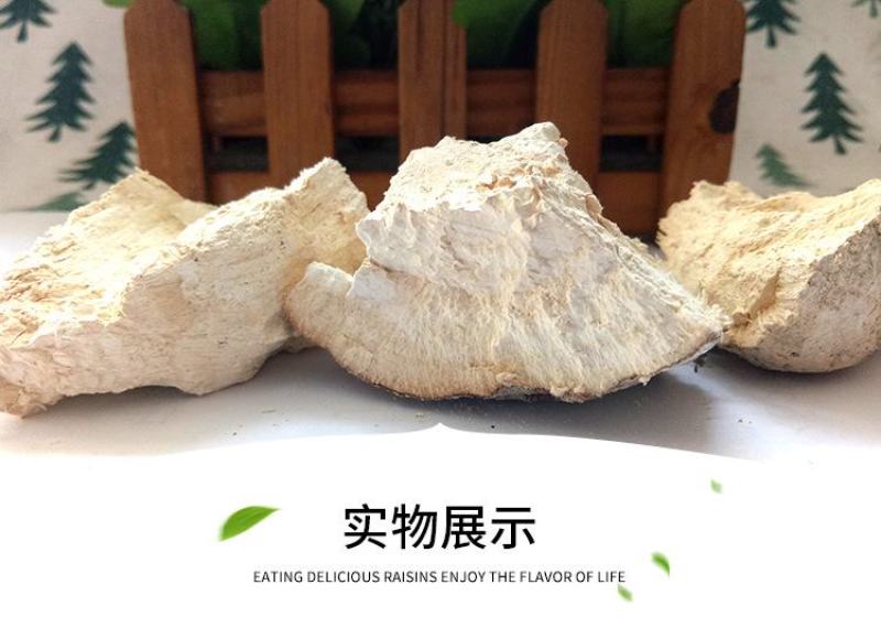 灵芝苦白蹄阿里红白灵芝大兴安岭可打成粉末