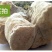 灵芝苦白蹄阿里红白灵芝大兴安岭可打成粉末