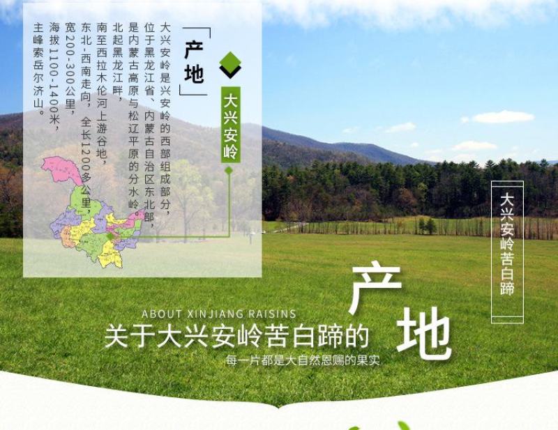 灵芝苦白蹄阿里红白灵芝大兴安岭可打成粉末