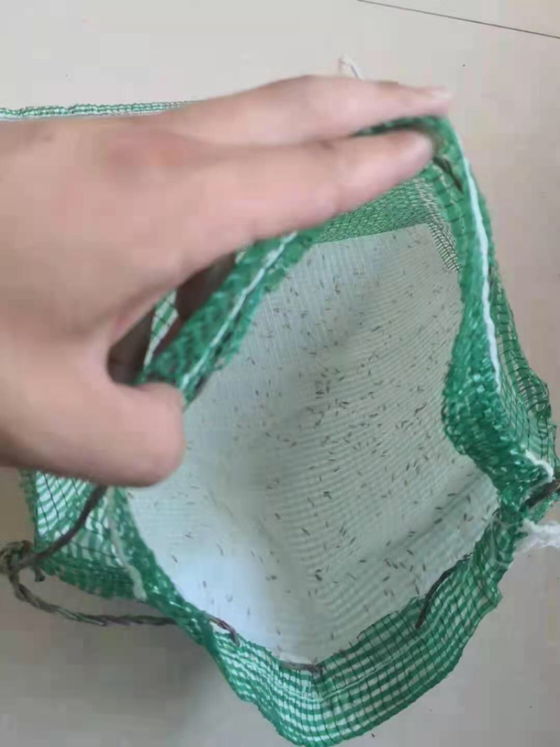 边坡绿化草籽植生袋护坡生态植草袋岩石边坡绿化带