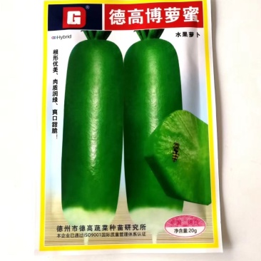 萝卜种子德高博萝蜜水果萝卜高产拓病性强肉质翠绿爽囗甜脆