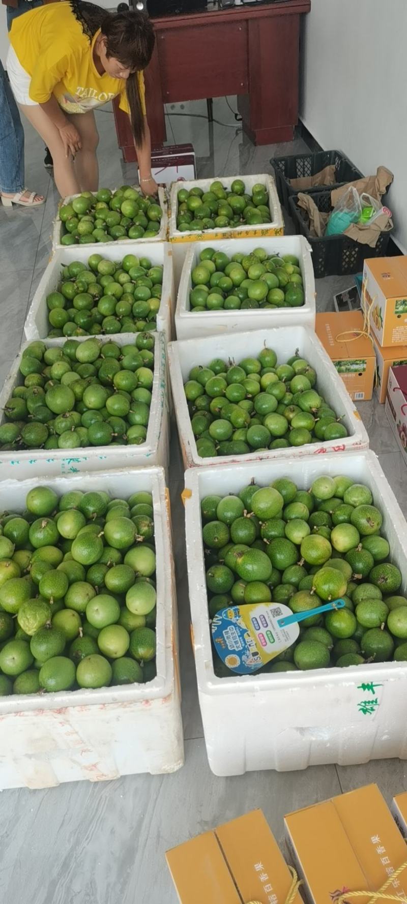 黄金百香果