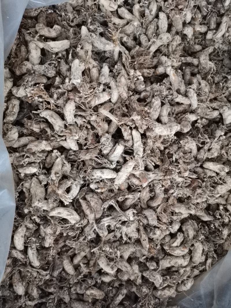 金蝉花500g蝉蛹草知了花新货蝉菌金蚕花