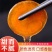 长白山人参蜜片即食人参蜂蜜人参一手货源椴树蜜泡制