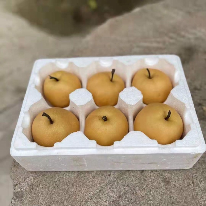 百里洲黄花梨，翠冠，产地一手货源，香甜可口，价格实惠。