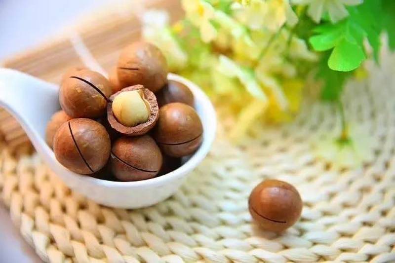 云南澳洲夏威夷果坚果，可选择干果，或者生果