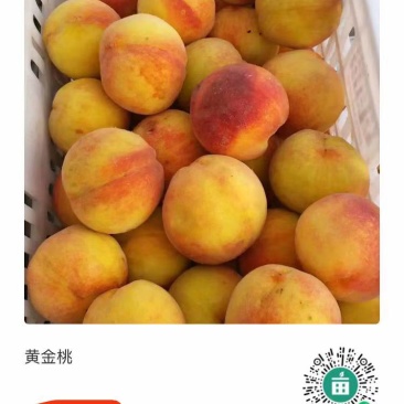 产地直供晚黄金桃