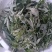 纯野生艾草