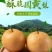 百里洲黄花梨，翠冠，产地一手货源，香甜可口，价格实惠。