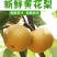 百里洲黄花梨，翠冠，产地一手货源，香甜可口，价格实惠。