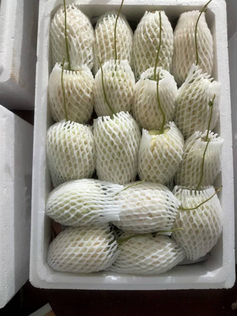 苹果苦瓜大量，实力供货