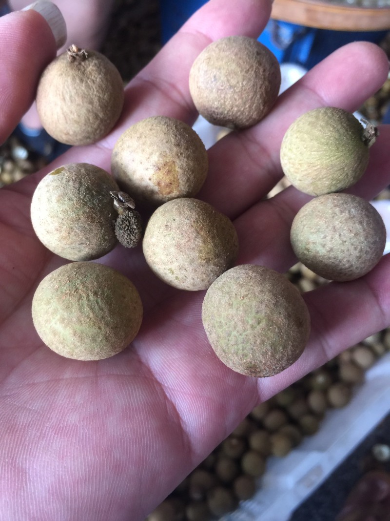 龙眼，代卖广西博白县三滩镇龙眼自由批发巿场