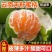 优质精品高山早熟蜜桔大量上市！果园看货量大从优！