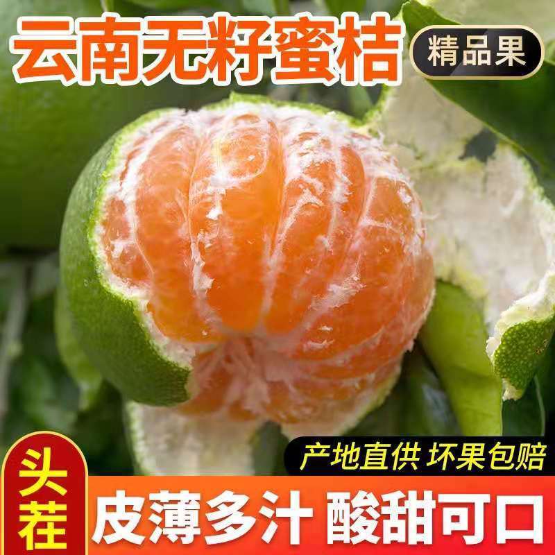 优质精品高山早熟蜜桔大量上市！果园看货量大从优！