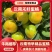 优质精品高山早熟蜜桔大量上市！果园看货量大从优！