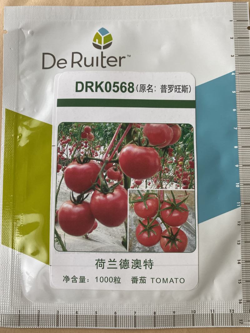 水果番茄种子越冬耐寒既抗病毒硬度又好大果沙沙甜甜西红柿种