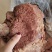 熟牛肉，大块五香熟牛头，纯干无淀粉，实拍图片，一手货源