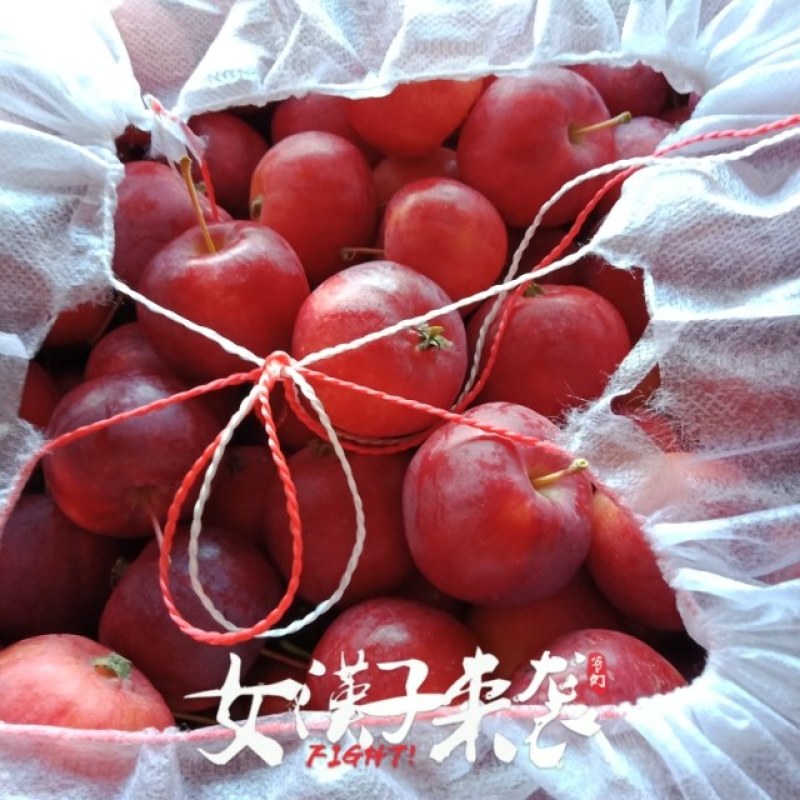 红太苹沙果